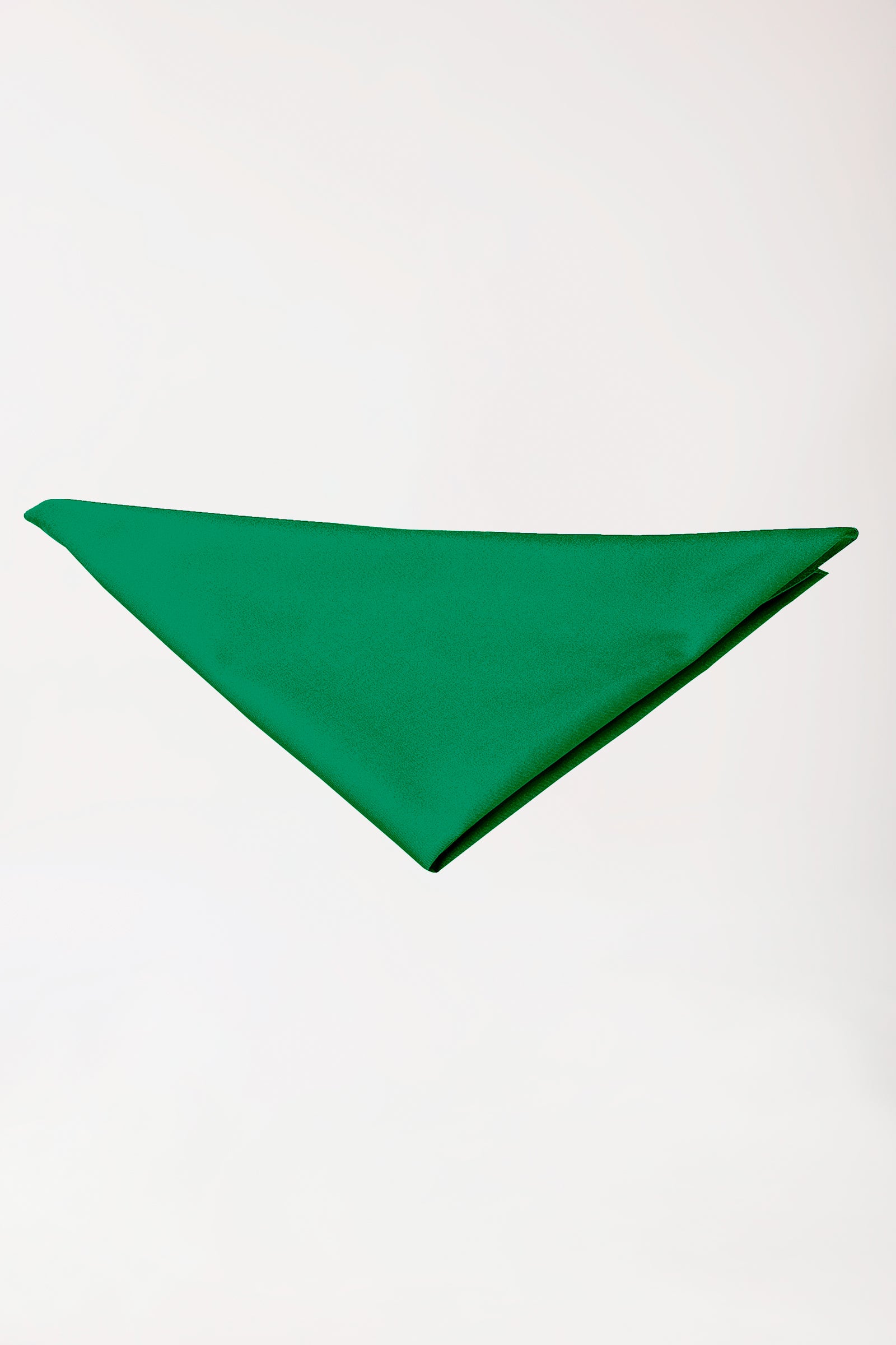 Gastro Halstuch Unisex grün